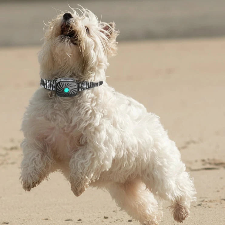Anti-Bark Collar Sound & Vibration Waterproof 30-Day Battery Life