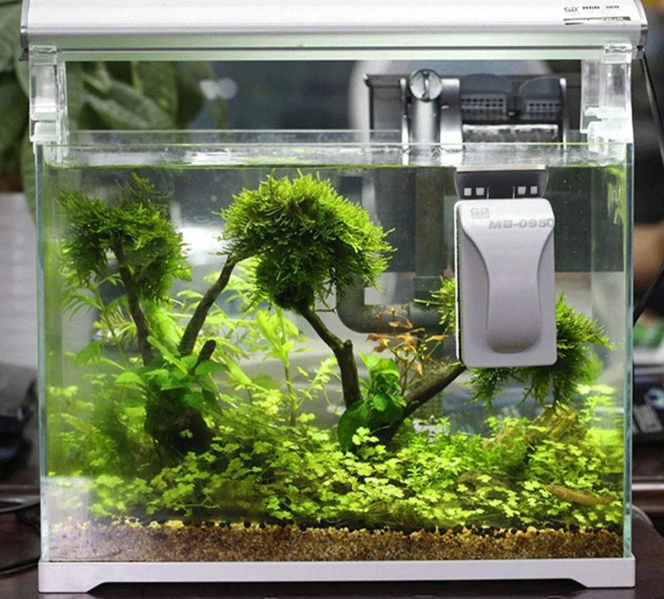 Aquarium Glass Cleaner Magnetic Floating Design