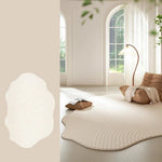Area Rug Soft Plush Texture Modern Design