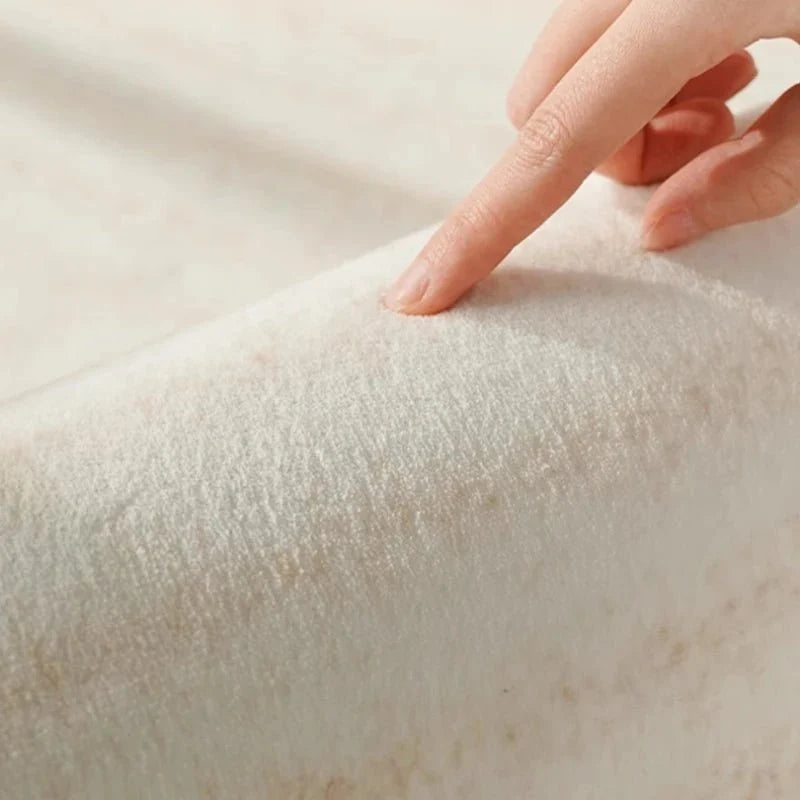 Area Rug Soft Plush Texture Modern Design