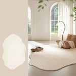 Area Rug Soft Plush Texture Modern Design