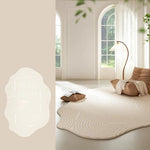 Area Rug Soft Plush Texture Modern Design