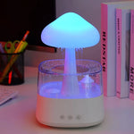 Aromatherapy Diffuser & Humidifier Fine Mist & Night Light