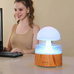 Aromatherapy Diffuser & Humidifier Fine Mist & Night Light