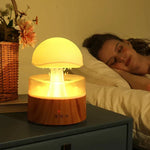 Aromatherapy Diffuser & Humidifier Fine Mist & Night Light