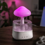 Aromatherapy Diffuser & Humidifier Fine Mist & Night Light