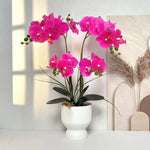 Artificial Orchid Arrangement Realistic Low-Maintenance White Ribbed Pot