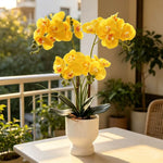 Artificial Orchid Arrangement Realistic Low-Maintenance White Ribbed Pot