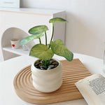 Artificial Potted Plant Realistic Low-Maintenance With Pot