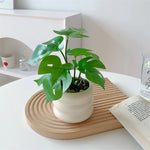 Artificial Potted Plant Realistic Low-Maintenance With Pot