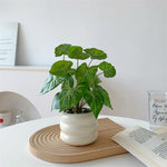 Artificial Potted Plant Realistic Low-Maintenance With Pot
