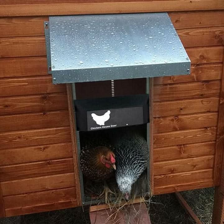 Automatic Chicken Coop Door Light Sensor Weather-Resistant