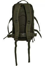 Backpack 25 L Lightweight Padded Straps & MOLLE
