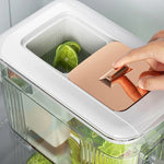Beverage Dispenser Fridge-Friendly 1.6 Gallon Push Tap
