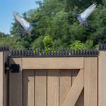 Bird Deterrent Spikes Stainless Steel Tool Free Installation
