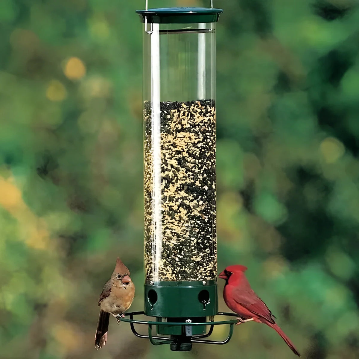 Bird Feeder Squirrel-Proof Weight-Activated Metal Frame