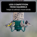 Bird Feeder Squirrel-Proof Weight-Activated Metal Frame