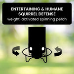 Bird Feeder Weight-Activated Spinning Perch 5-Pound Capacity