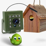 Bird Nest Camera 1080p HD & Night Vision
