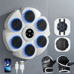Boxing Machine Bluetooth Music RGB Lighting Performance Tracking
