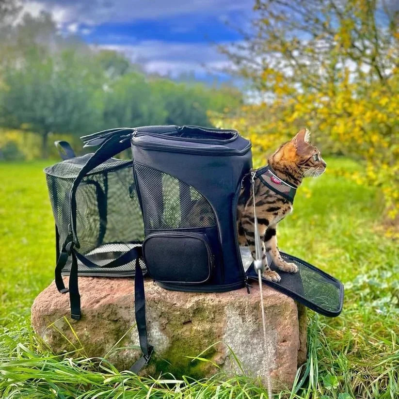 Cat Backpack Transparent Dome Window Breathable Padded Straps