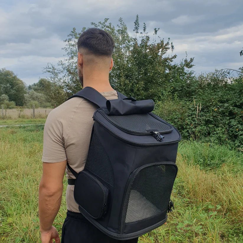 Cat Backpack Transparent Dome Window Breathable Padded Straps