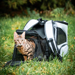 Cat Backpack Transparent Dome Window Breathable Padded Straps