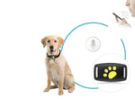 Cat GPS Tracker Real-Time Location No Subscription Fees