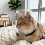Cat Grooming Helmet Transparent Ventilated ABS Dome