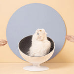 Cat Hammock Bed Rotating Interactive Soft Fabric