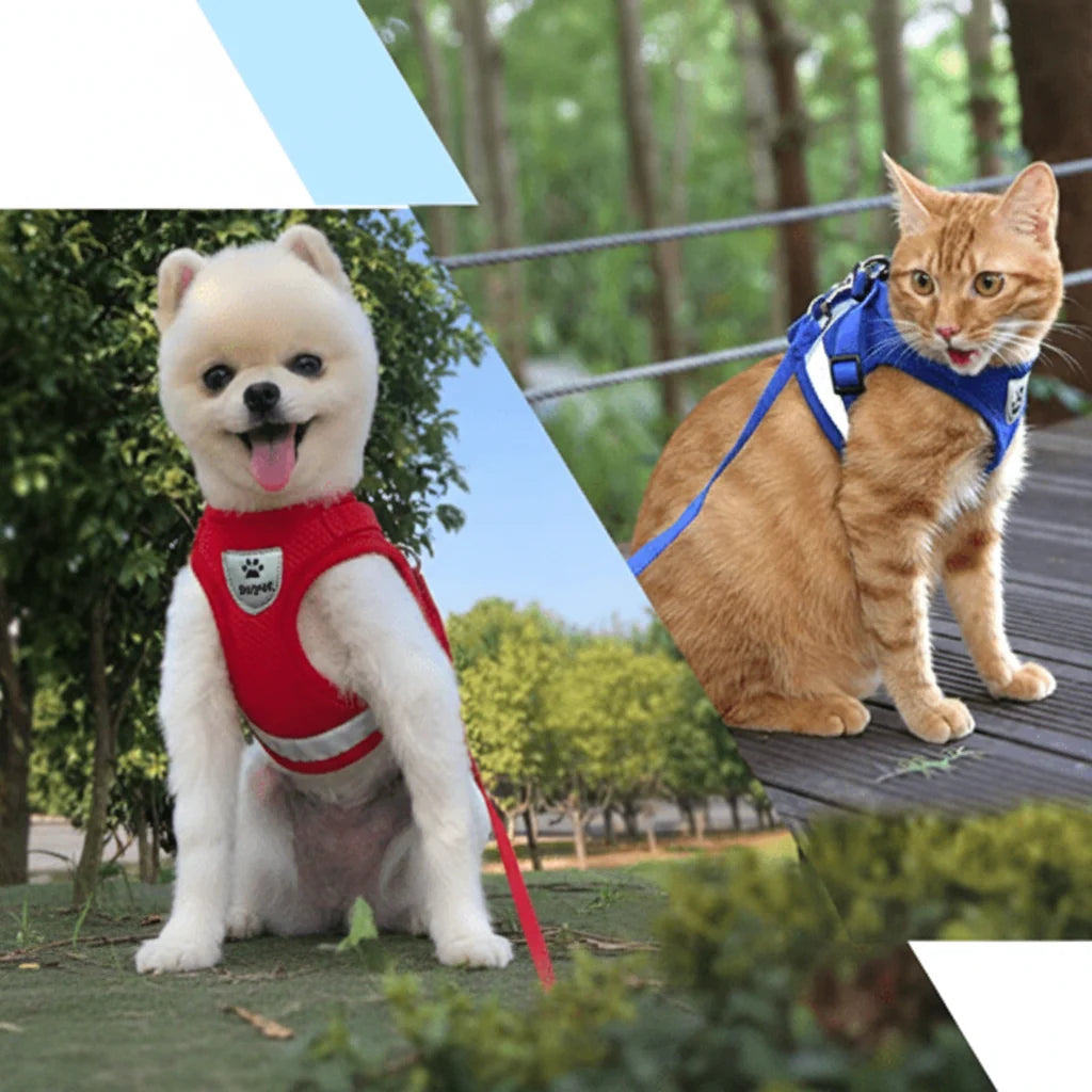 Cat Harness Escape-Resistant Adjustable Reflective With Leash
