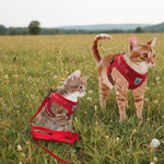Cat Harness Escape-Resistant Adjustable Reflective With Leash