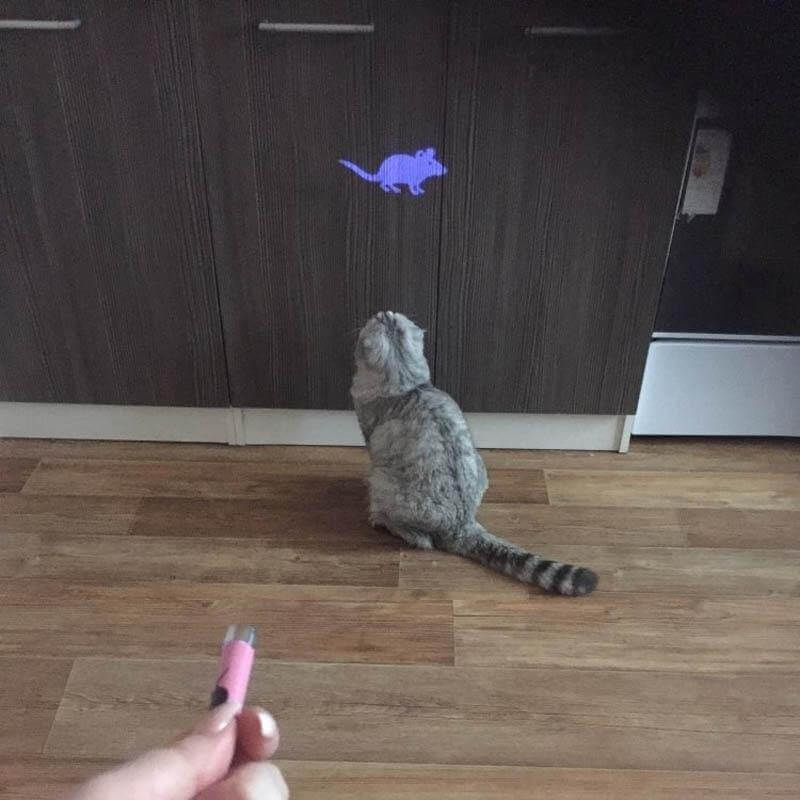 Cat Laser Pointer Animated Mouse Pattern Batteries Included