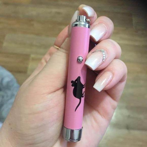 Cat Laser Pointer Animated Mouse Pattern Batteries Included