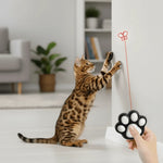 Cat Laser Toy Five Adjustable Light Patterns Automatic Timer