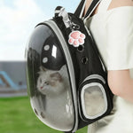 Cat Laser Toy Five Adjustable Light Patterns Automatic Timer