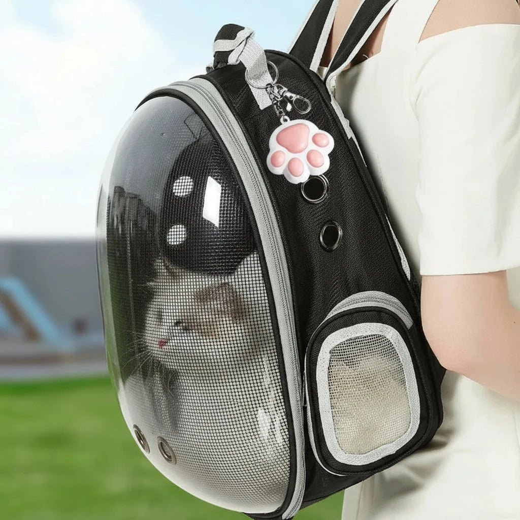 Cat Laser Toy Five Adjustable Light Patterns Automatic Timer