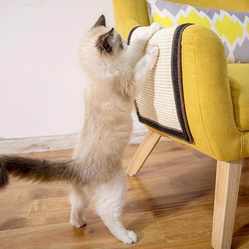 Cat Scratch Board Compact Couch-Side Surface in Two Sizes