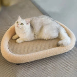 Cat Scratcher Bed Curved Felt & Sisal Non-Slip