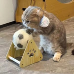 Cat Scratching Toy Stand Sisal Surface Suspended Soccer Ball