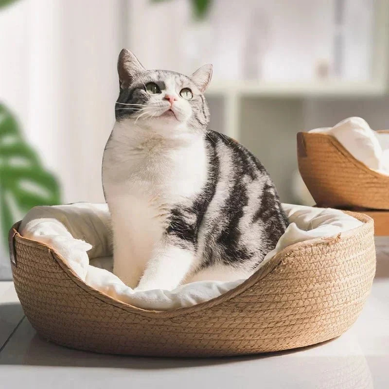 Cat Sofa Bamboo Frame Cotton Cushion Removable Washable Cover