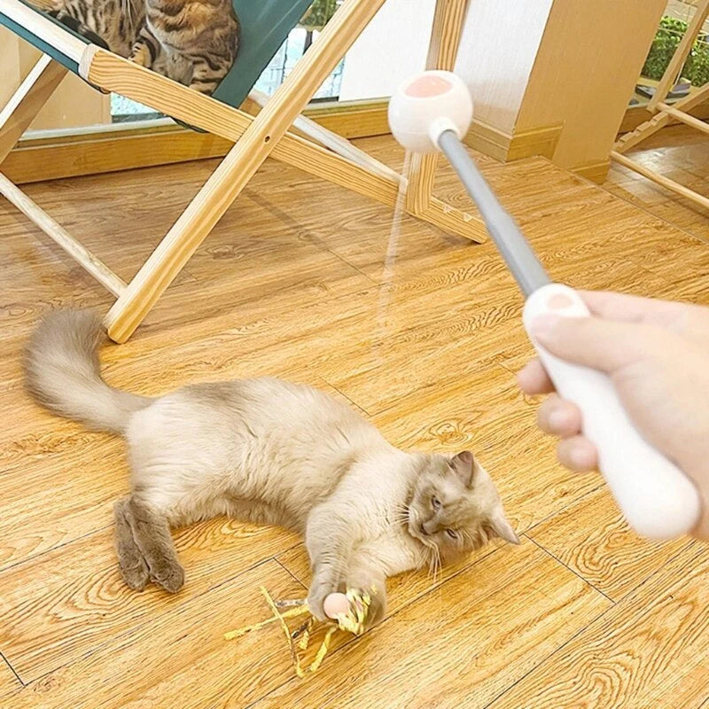 Cat Teaser Stick Feather & Built-In Laser Light