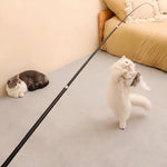 Cat Teaser Wand Extendable Carbon Fiber