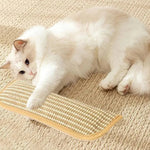 Cat Toy Catnip-Infused Plush Scratch Pillow
