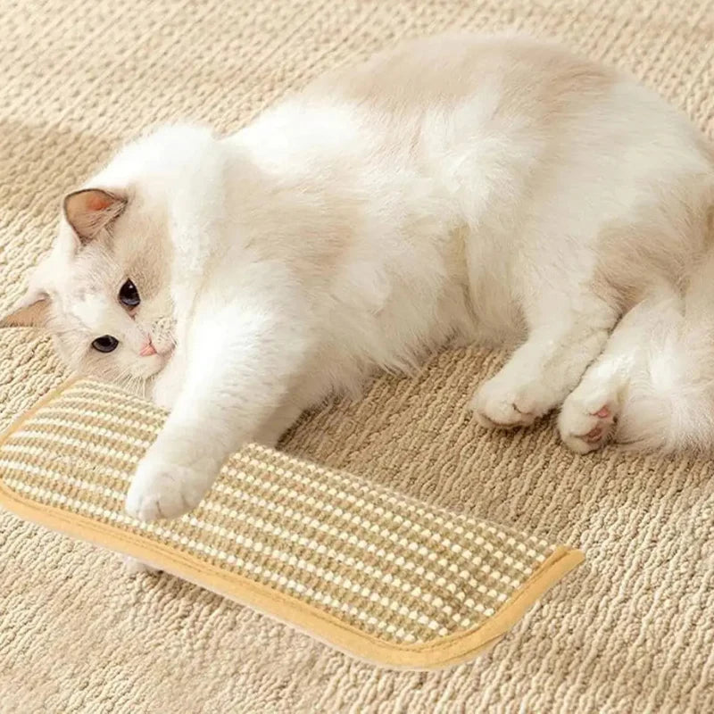 Cat Toy Catnip-Infused Plush Scratch Pillow