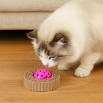 Cat Toy Corrugated Scratch & Spin 4-Pack