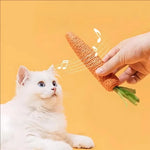 Cat Toy For Kittens Interactive Sound & Teeth-Cleaning