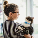 Cat Training Collar Sound Vibration Shock Modes Waterproof