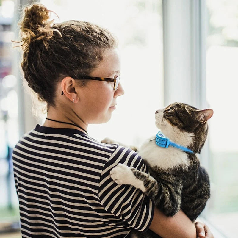 Cat Training Collar Sound Vibration Shock Modes Waterproof