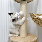 Cat Tree Three-Level Plush Sisal Scratching Posts